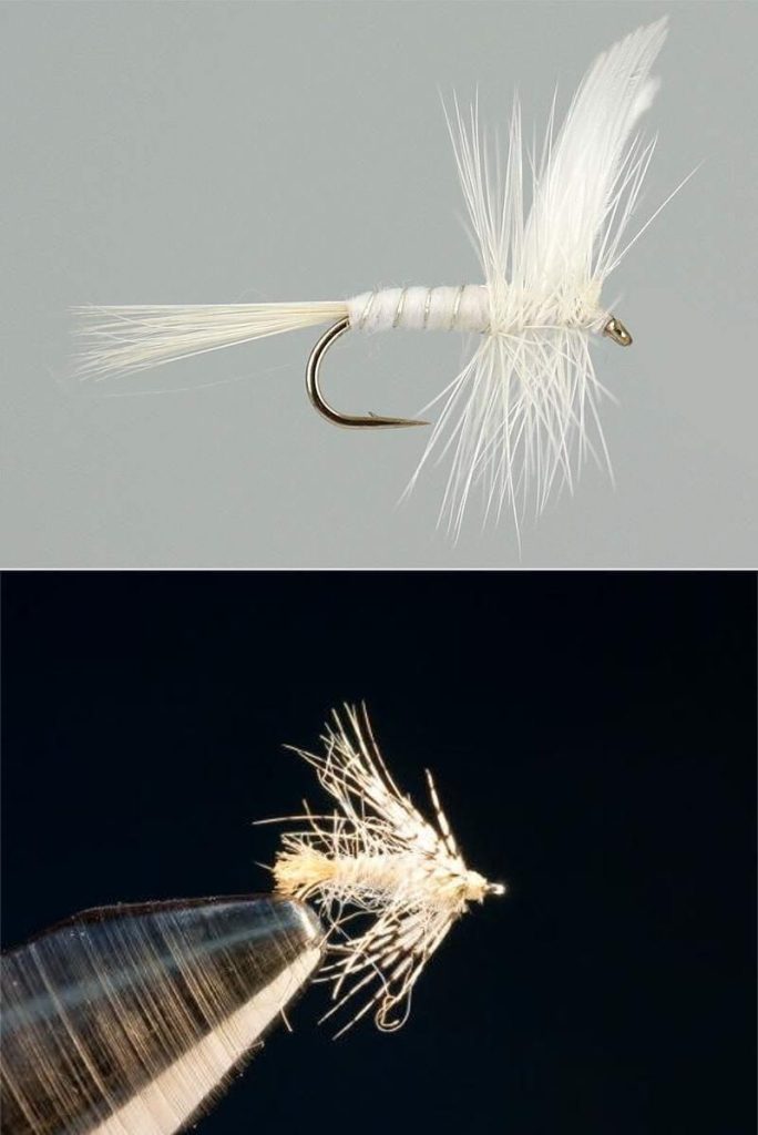 White Miller wet and dry flies