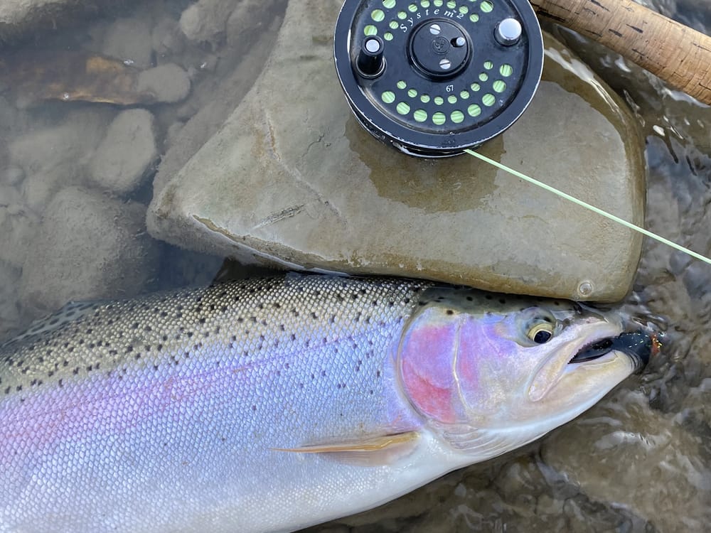 Steelhead Techniques For Lake Erie Tributaries - On The Water